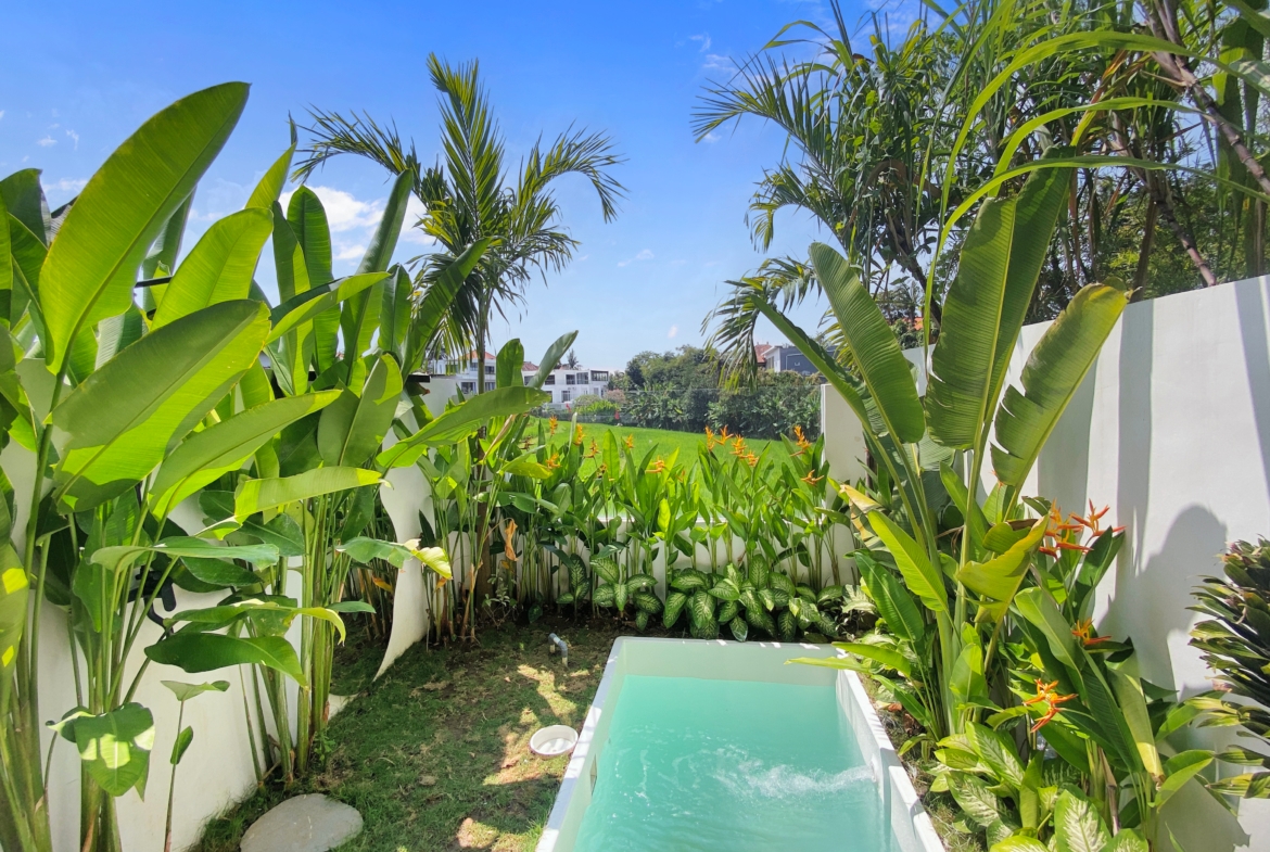 Real estate listing image - PROPEKO August 25, 2025 - For Sale - Ricefield View & Private Pool