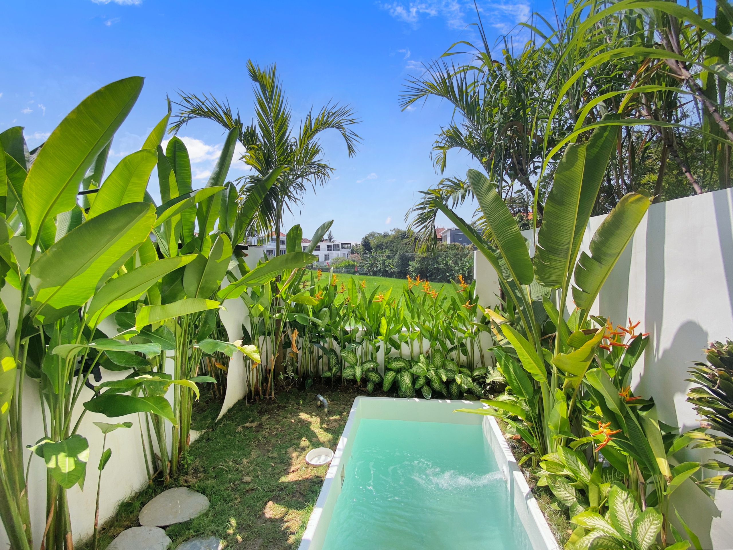 Private pool canggu