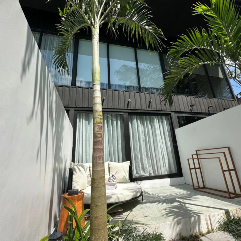 Modern courtyard with white walls, palm trees, and a glass-fronted contemporary building, plus cushioned seating by the wall.