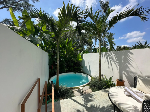 Backyard with a circular blue pool, white walls, and tall palm trees under a sunny blue sky.
