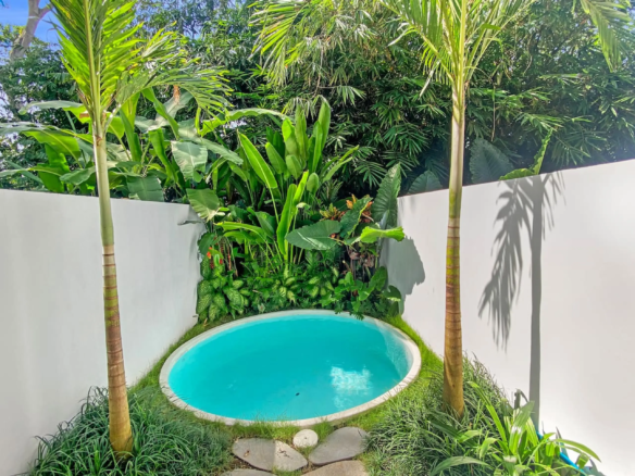 Small round backyard pool with bright blue water, framed by lush tropical plants and two skinny palm trees against a white wall.