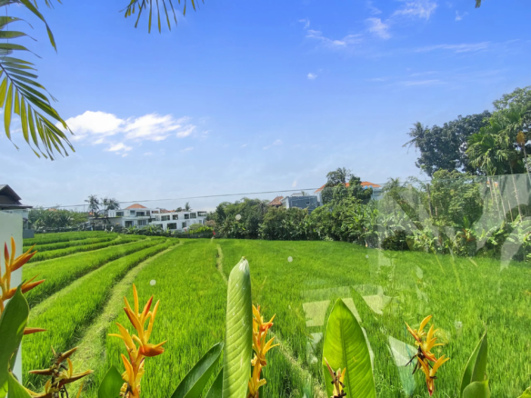 Bright tropical landscape with green rice paddies, palm trees, and yellow heliconia flowers against a blue sky with distant houses.)