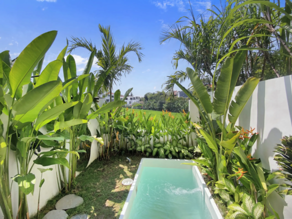 Tall banana plants and palm trees surround a rectangular turquoise pool beside a white fence on a sunny day.