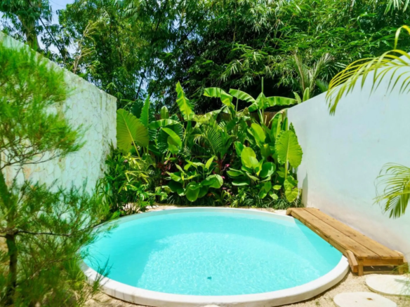 Round blue swimming pool surrounded by tropical plants and a wooden deck on the right, with white walls enclosing the space.