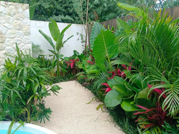 Pathway weaving through a dense tropical garden with large green leaves, a stone wall on the left, and a wooden fence on the right.