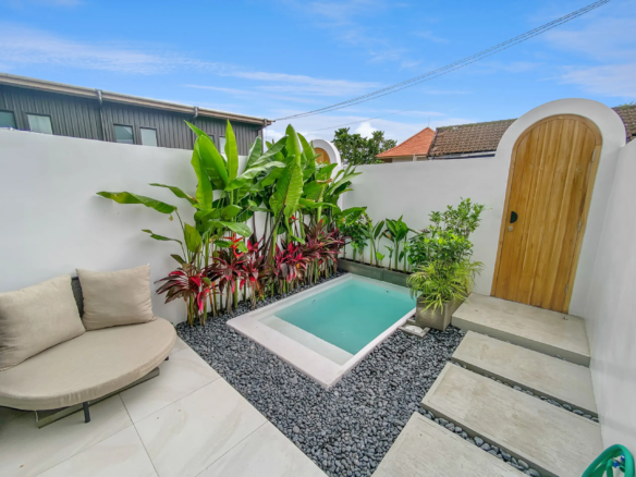 Outdoor courtyard with a small rectangular pool, white walls, tropical plants, and a curved wooden gate. Inspired backyard vibe.