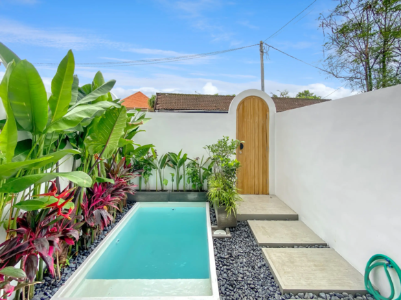 Narrow backyard with a turquoise rectangular pool beside a white wall, tropical plants on the left, and a wooden arched gate on the right.