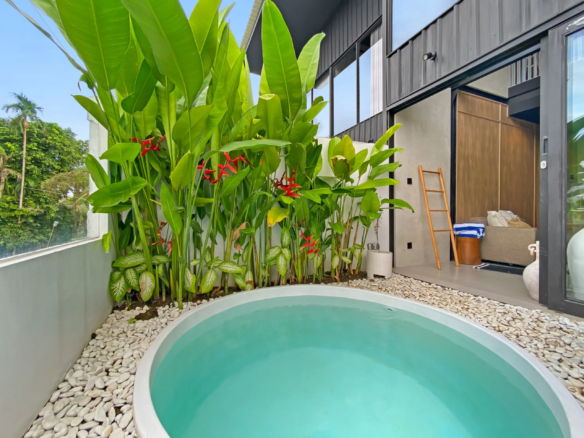 Modern house exterior with glass doors, tropical plants along a pebble border and a curved pool in the foreground.