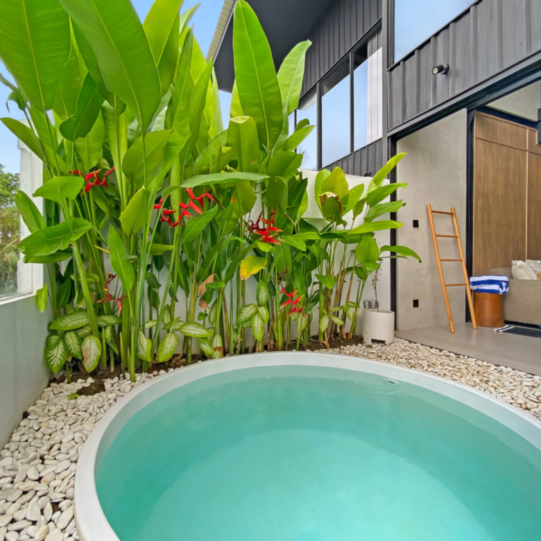 Modern house exterior with glass doors, tropical plants along a pebble border and a curved pool in the foreground.