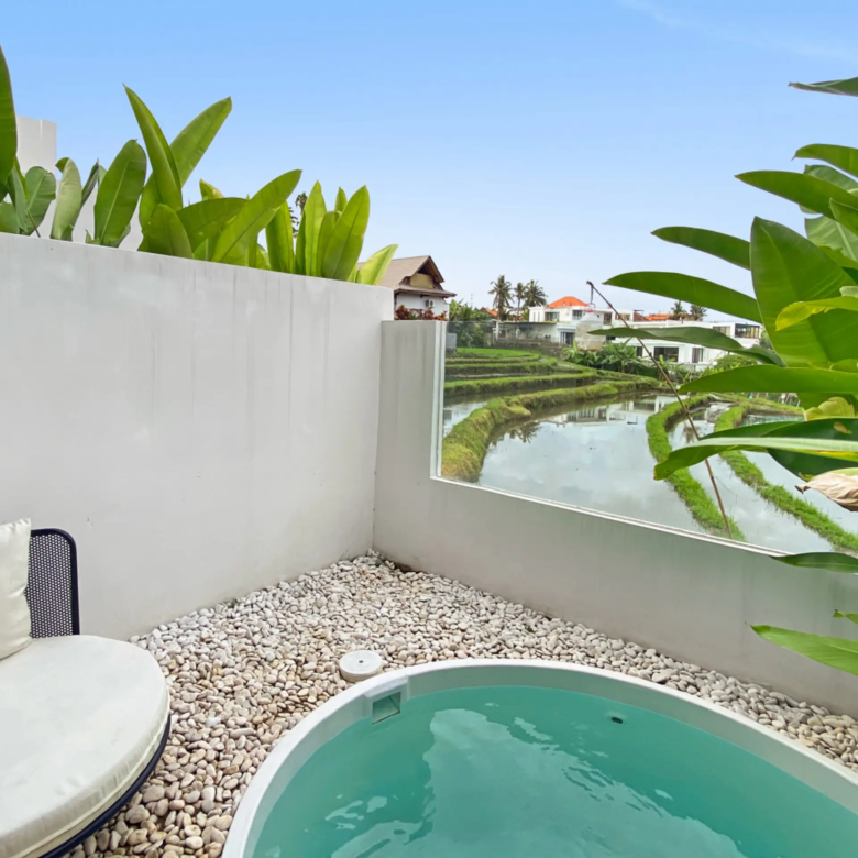 Curved backyard pool with greenish water, white pebble ground, and large banana leaves along a white fence under a blue sky.