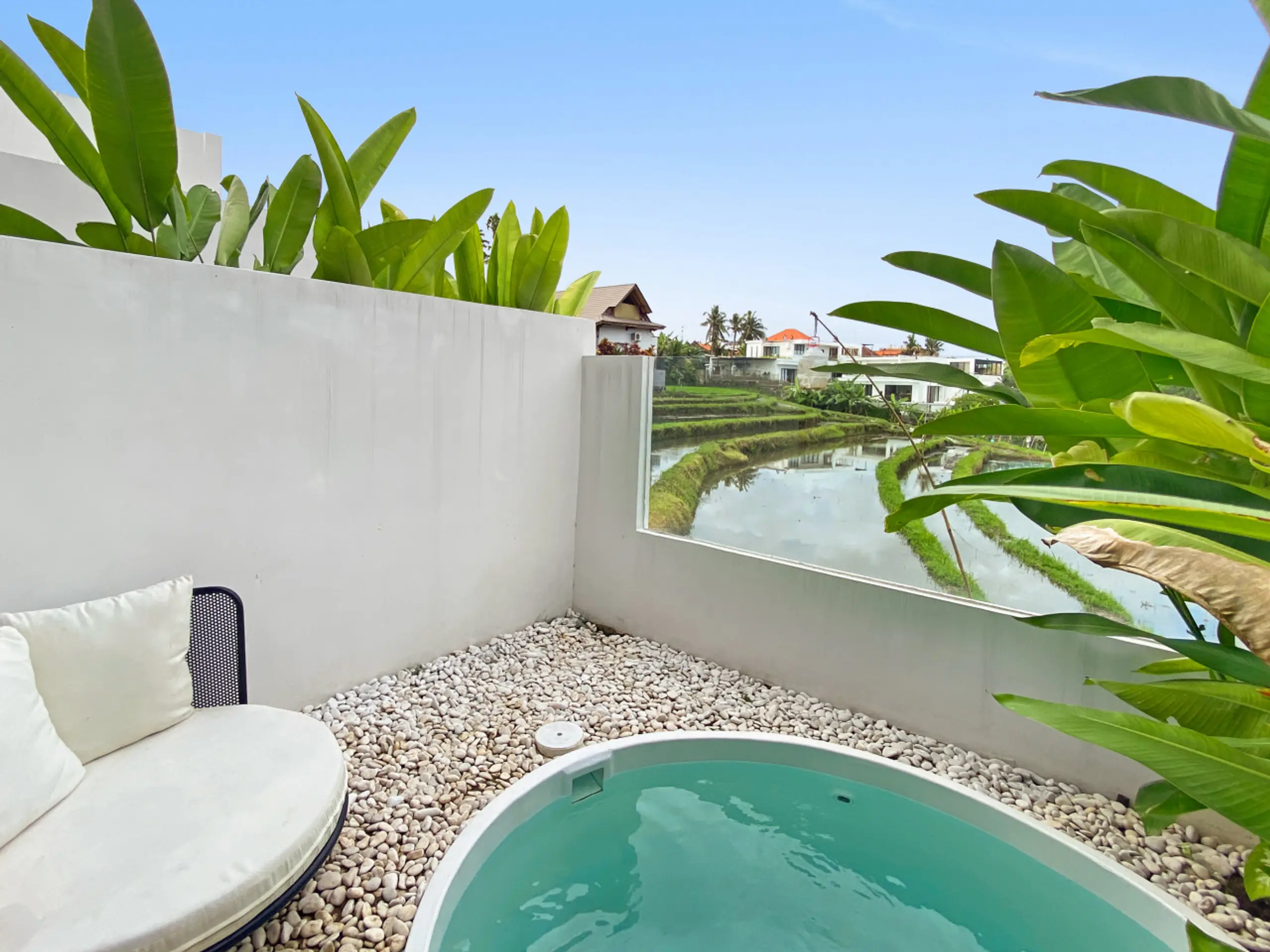164779-455932-dlv1Q—nwBztb9WJYm7DYIuY4srf1fXINjFIIqWi9F8-692e1c881de21 Curved backyard pool with greenish water, white pebble ground, and large banana leaves along a white fence under a blue sky.