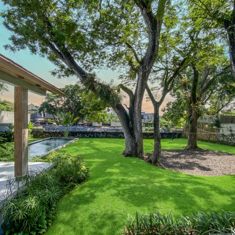 Residential backyard with a green lawn, mature trees, and a rectangular pool beside a stone-and-patio area on the left.