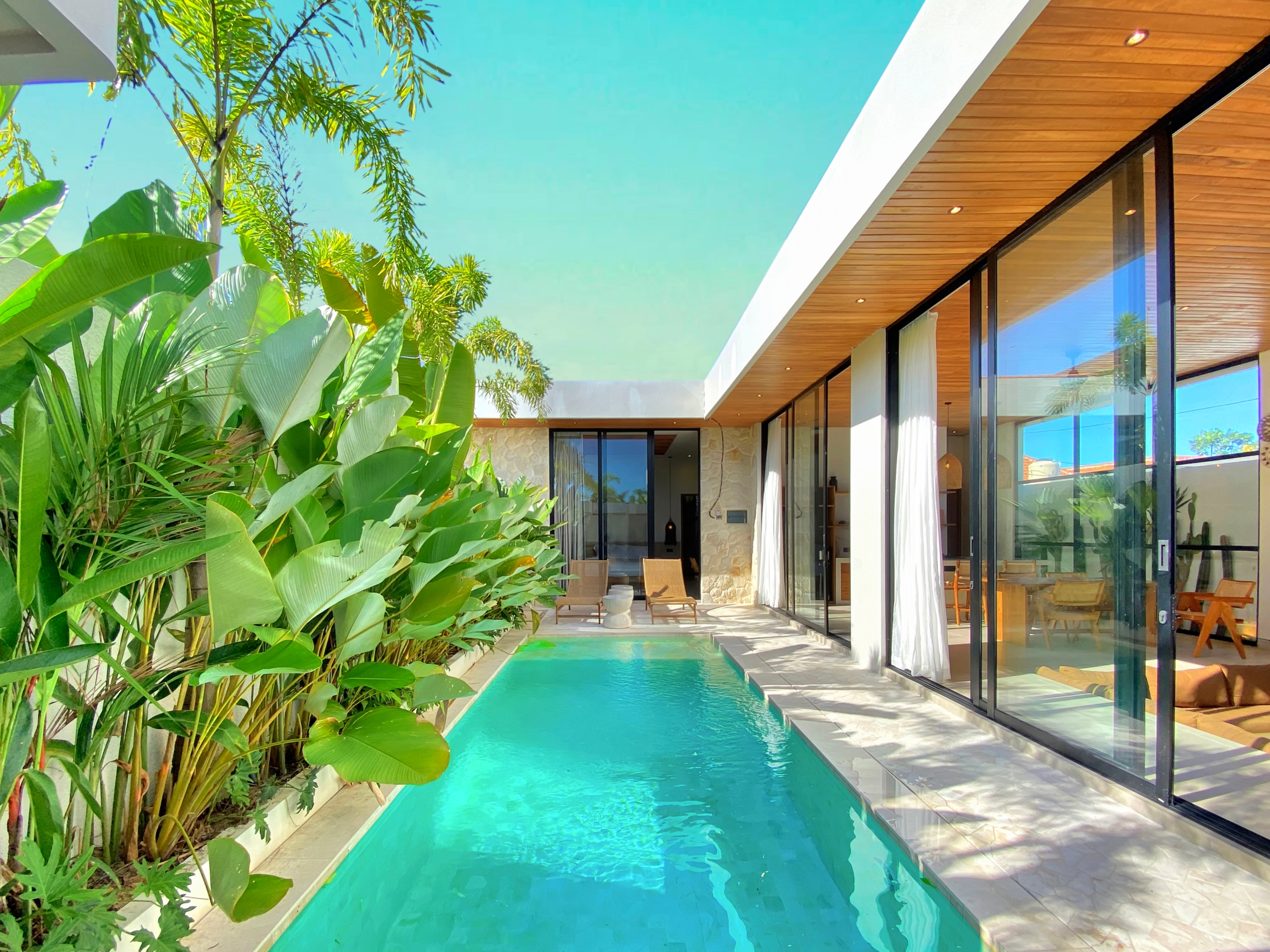 Modern villa poolside: turquoise rectangular pool beside glass-walled living area and a wooden ceiling, with lush tropical plants on the left.