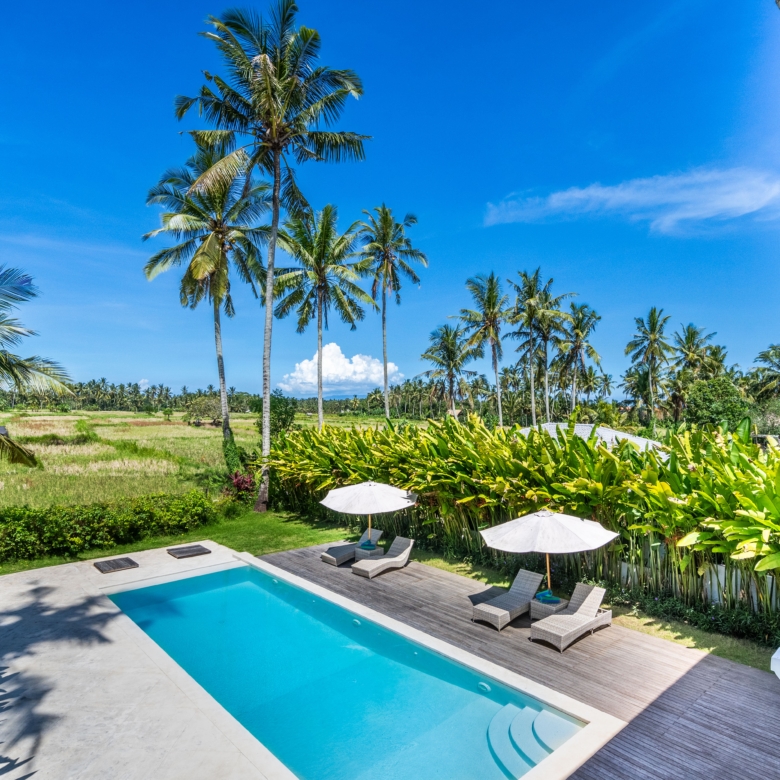 Swimming pool area with lounge chairs and white umbrellas, surrounded by tropical palm trees under a clear blue sky.