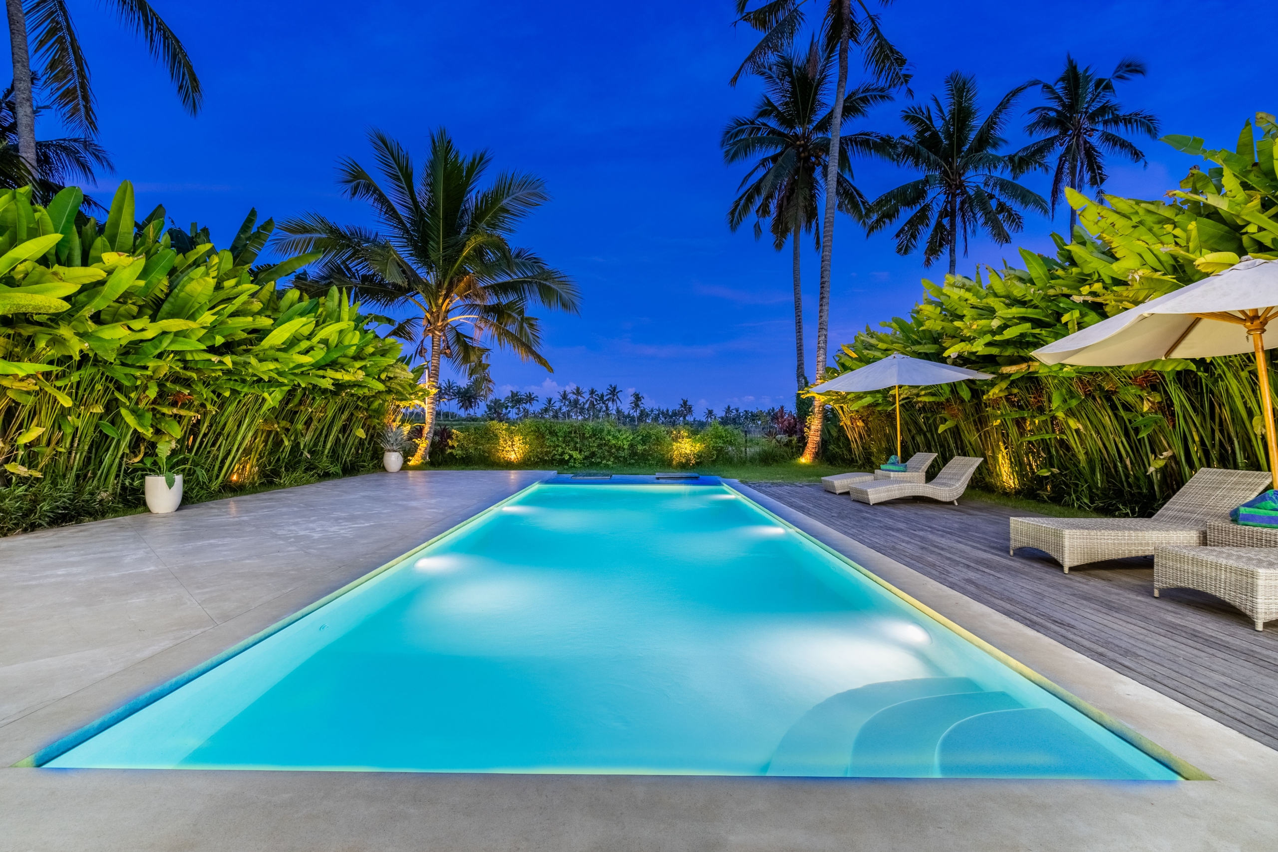 Rectangular turquoise pool bordered by tropical plants and palm trees, with lounge chairs and white umbrellas at dusk. (Informative)