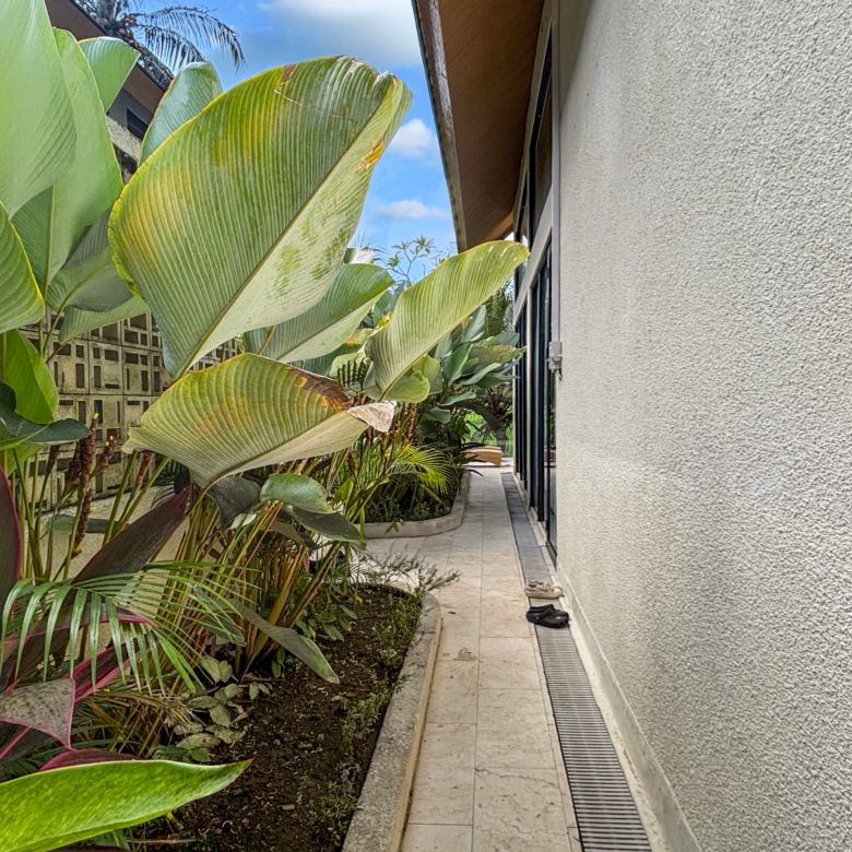 Narrow walkway beside a beige building with large tropical leaves on the left and sandals on the ground.