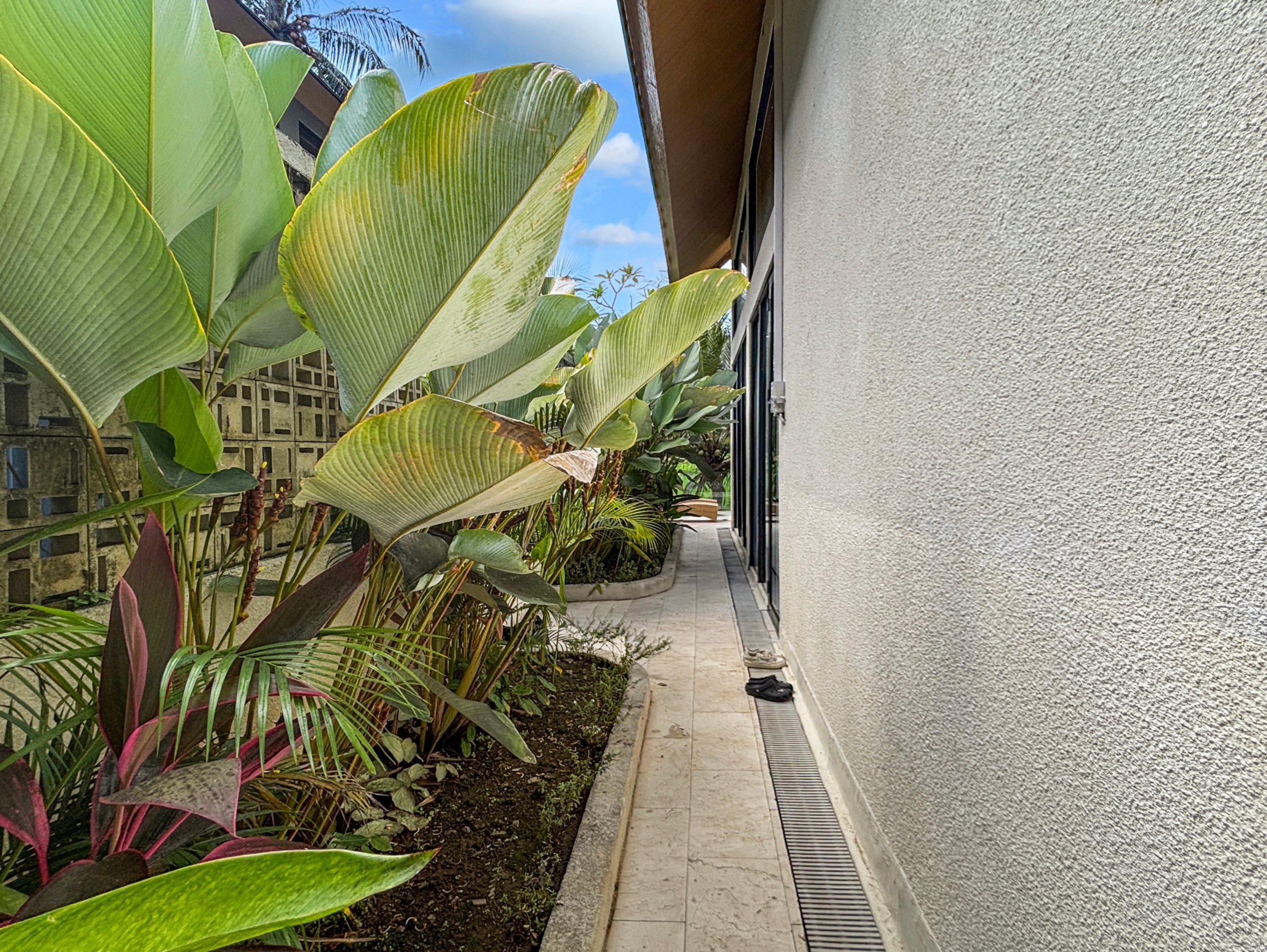 267453f15d55ca0220c55a18d609d06c400254a2 Narrow walkway beside a beige building with large tropical leaves on the left and sandals on the ground.