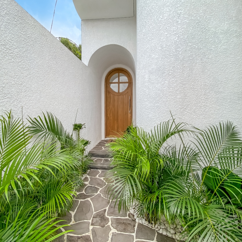 Narrow white stucco passage with a rounded arch leading to a wooden arched door, edged by tropical palm plants and a stone path at the entrance.