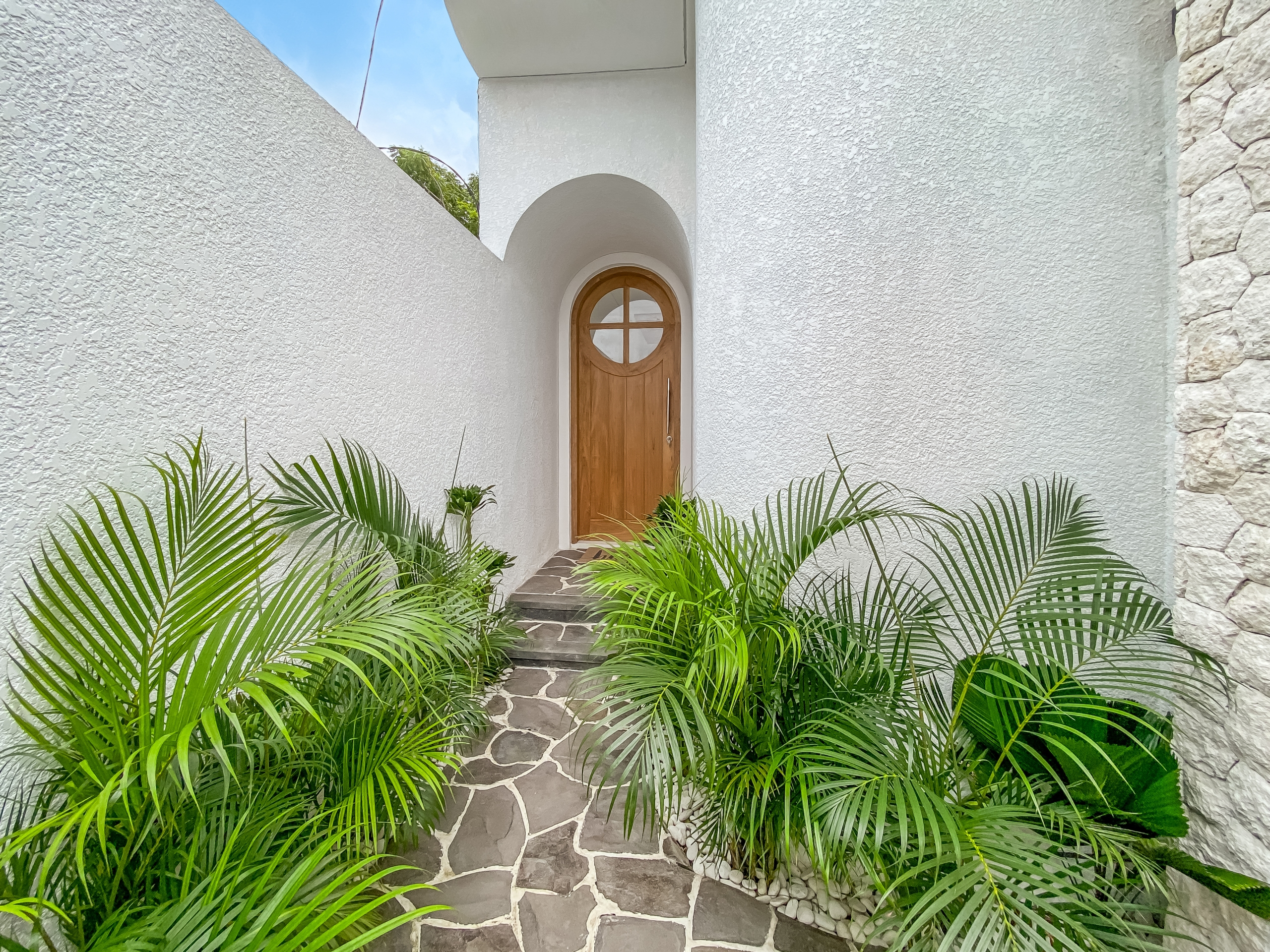 2e355eb7023926eb2ad916576037fc04223ca068 Narrow white stucco passage with a rounded arch leading to a wooden arched door, edged by tropical palm plants and a stone path at the entrance.