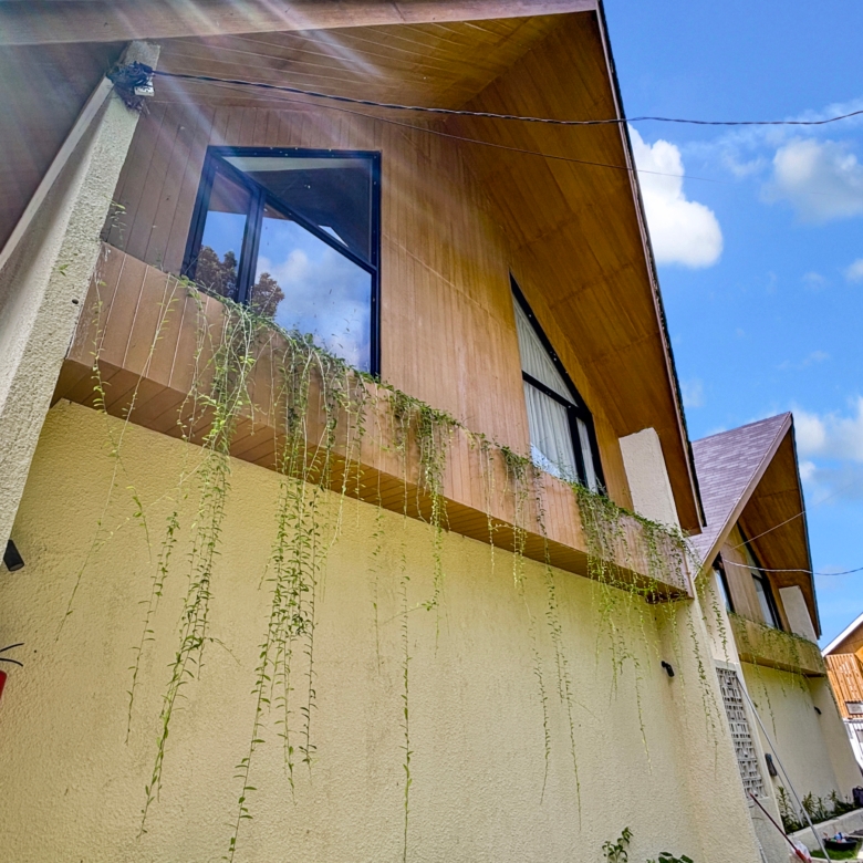 Two-story house with brown wooden siding, a large glass window, and long vines hanging down a beige stucco wall against a bright blue sky.