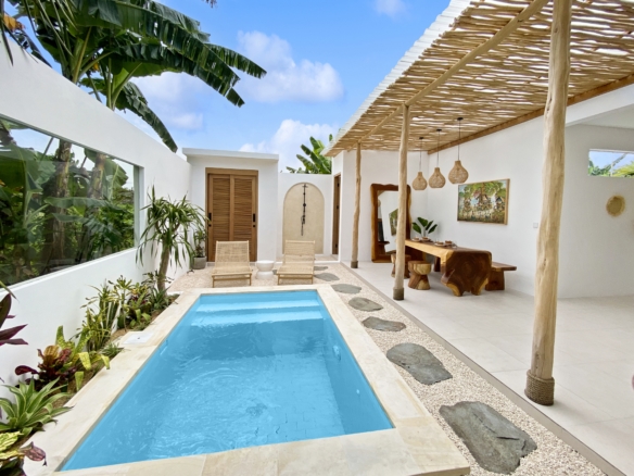 Interior courtyard with a rectangular blue pool, white walls, and a wooden pergola overhead; tropical plants on the sides.