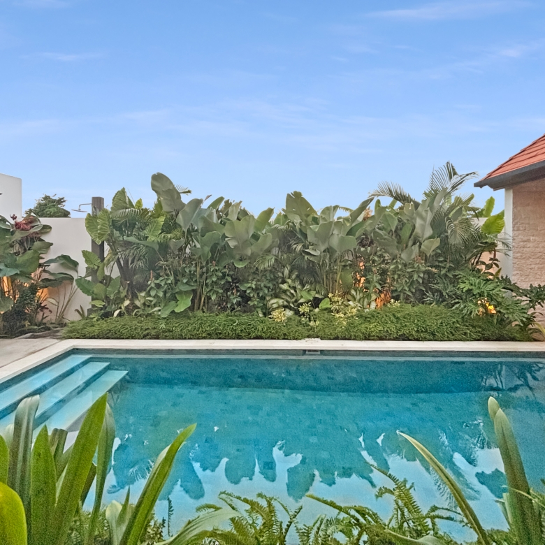 Backyard pool area with a rectangular swimming pool, white walls, and lush tropical plants, a red-tiled roof on the right building visible.