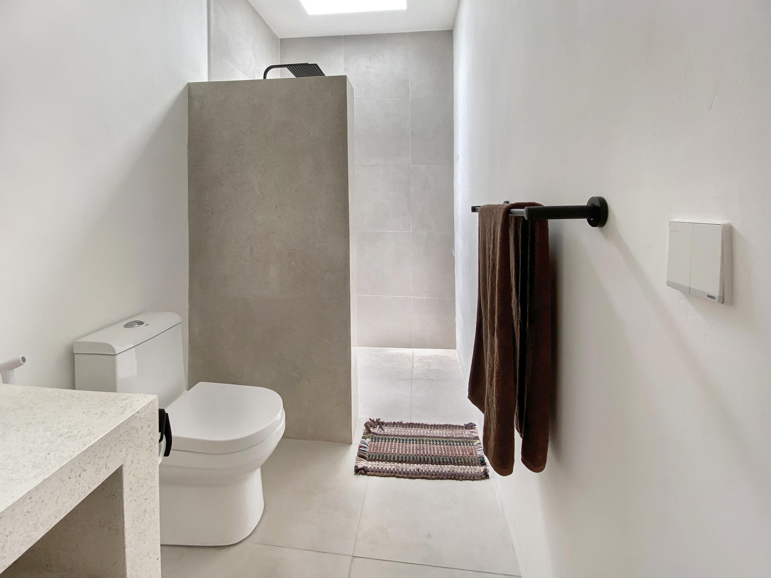 IMG_8127_5275-69ad00992ed51 Modern bathroom with white walls, gray tiled shower area, and dark brown towels on a wall-mounted rack.
