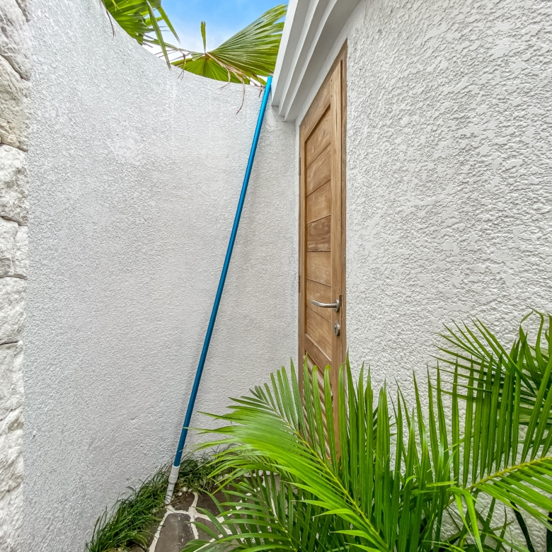 Narrow outdoor passage with white textured walls, a wooden door on the right, a blue hose along the wall, and palm fronds in the foreground.