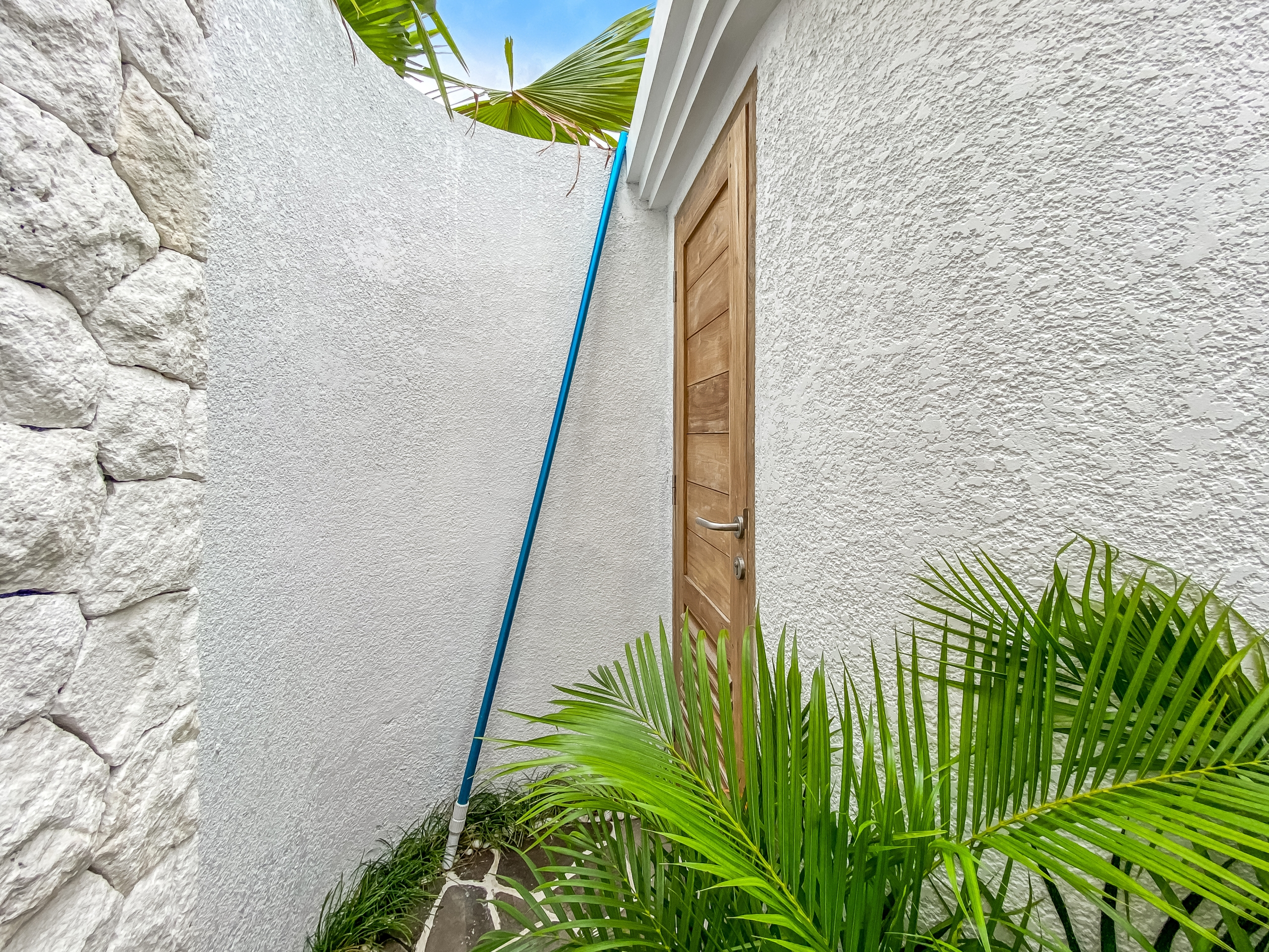 c313af020c1f6fb8a5f1ba1f202ac5042dab8406 Narrow outdoor passage with white textured walls, a wooden door on the right, a blue hose along the wall, and palm fronds in the foreground.