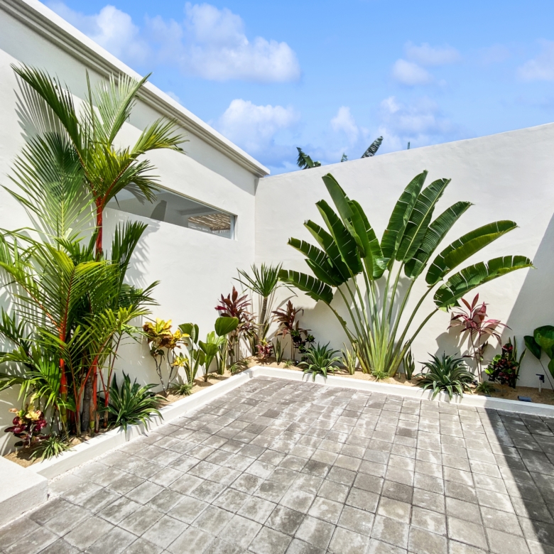 Sunlit white modern courtyard with tropical plants along a tiled path and a blue sky above.