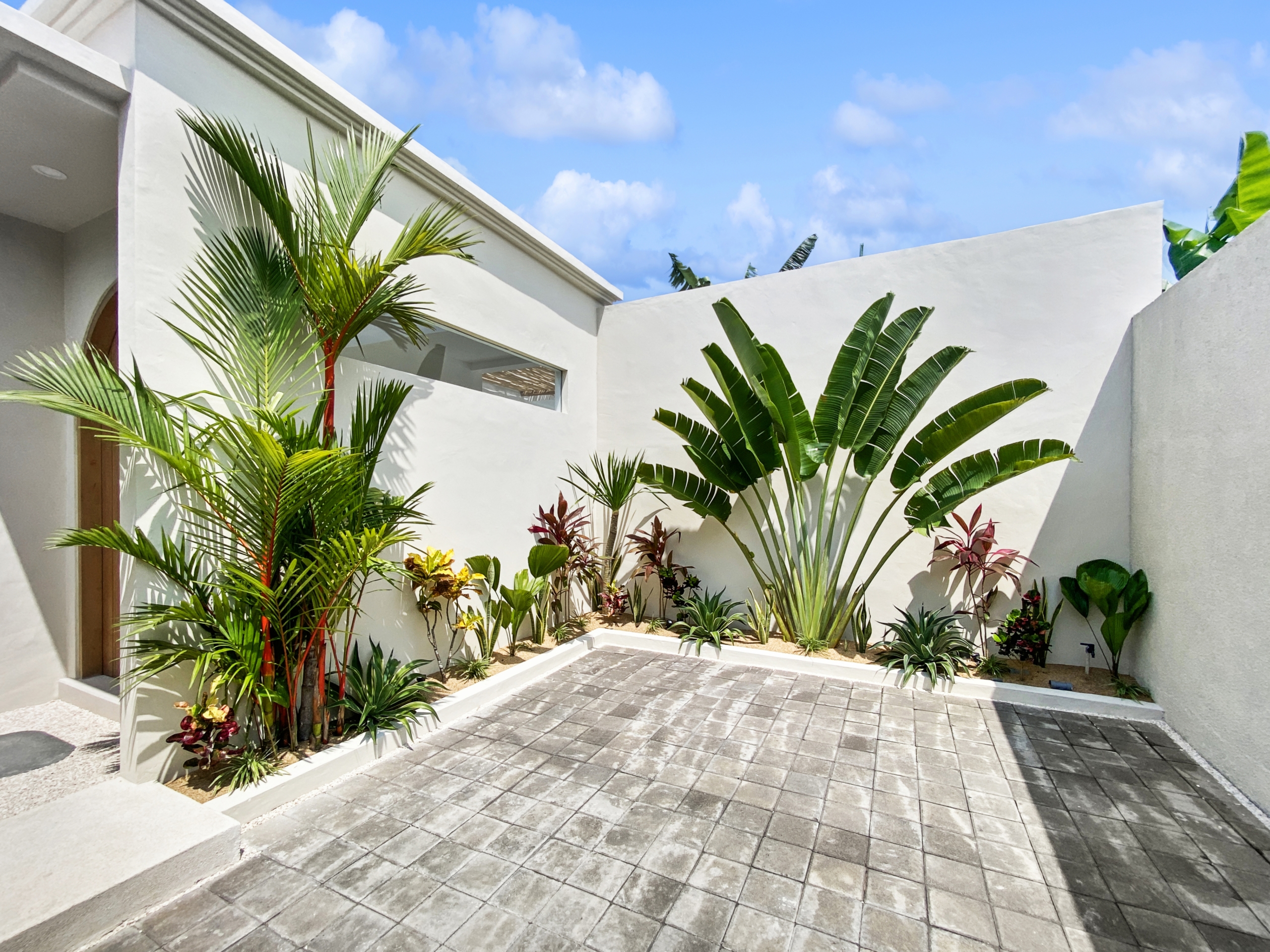 d5cdbf1d0383847e6fb284417f19b36e9bed7404_2287-68d5cfae7b249 Sunlit white modern courtyard with tropical plants along a tiled path and a blue sky above.