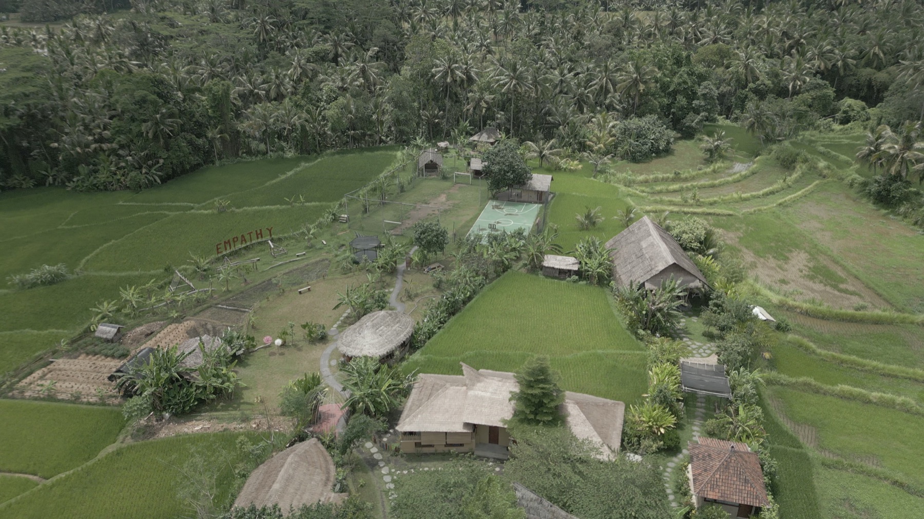 0077_Actual_Drone_Frame_Date_Unverified Aerial view of a tropical village with rice fields, palm trees, and thatched huts, plus a small basketball court.